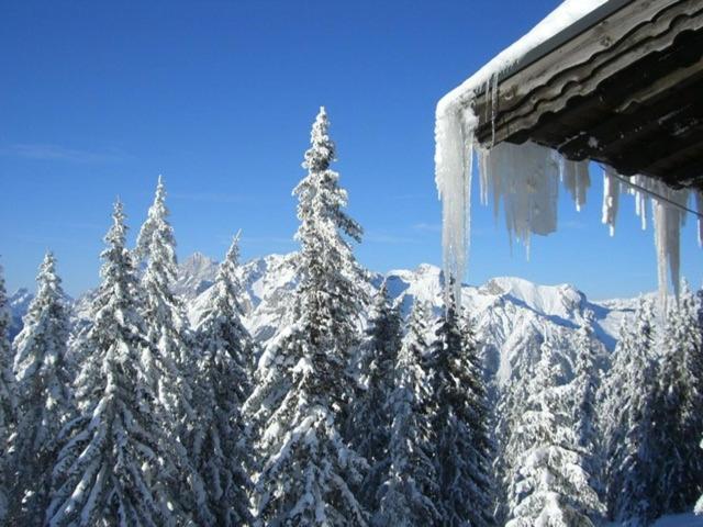 Maresi Schladming